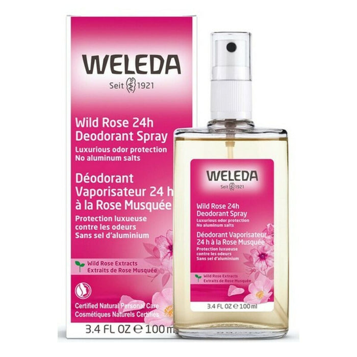 Desodorante Roll-On Rosa Mosqueta Weleda 4001638088084 (100 ml)