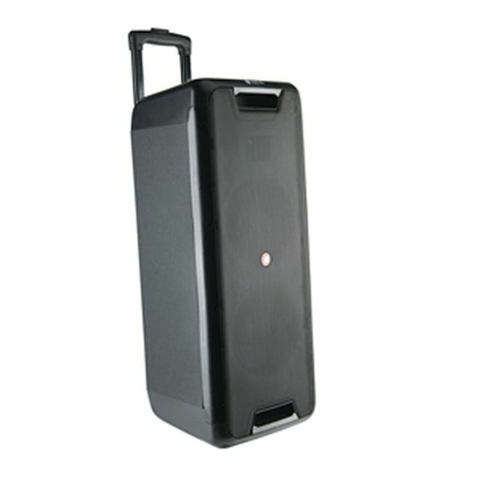 Altoparlante Bluetooth Portatile NGS WILD RAVE 2 Nero 300 W